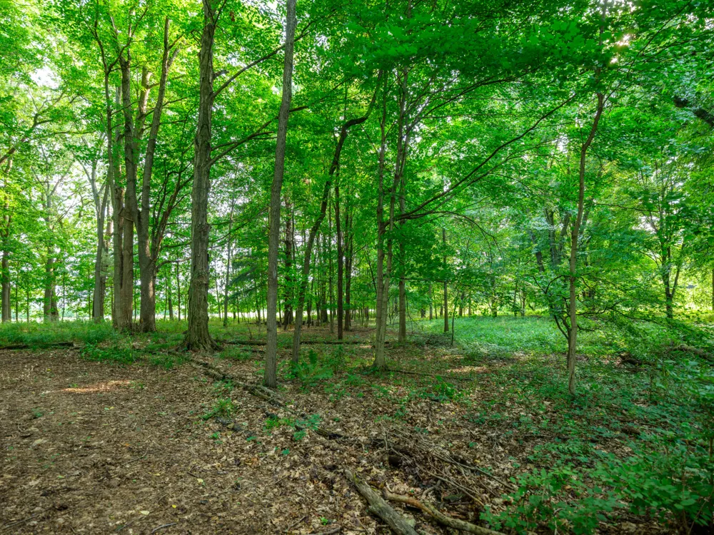 58522 Farrand Road Colon Township, MI 49040