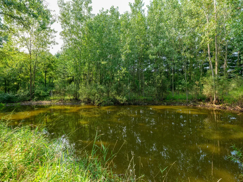 58522 Farrand Road Colon Township, MI 49040
