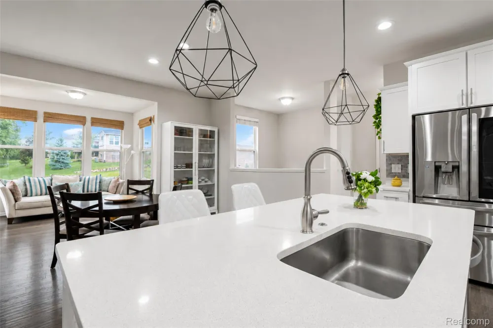 30081 Braeburn Street Lyon Charter Township, MI 48165