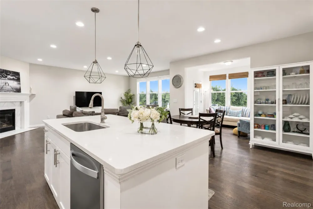 30081 Braeburn Street Lyon Charter Township, MI 48165