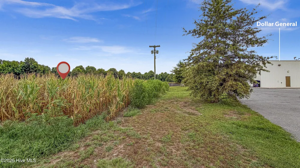 Tbd Nc-403 Mount Olive, NC 28365