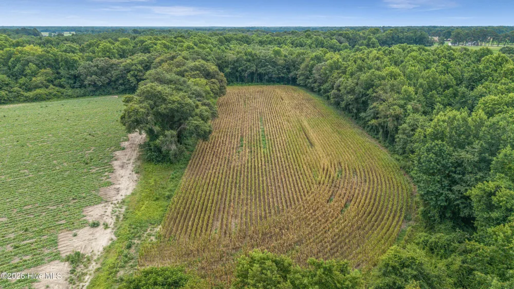 Tbd Nc-403 Mount Olive, NC 28365