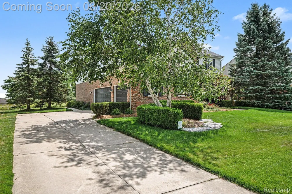 1188 Bellwood Court Oxford Charter Township, MI 48371