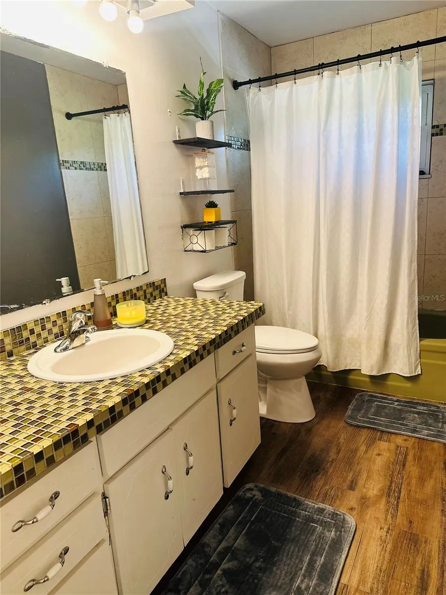 31109 DEAL DRIVE Mount Plymouth, FL 32776