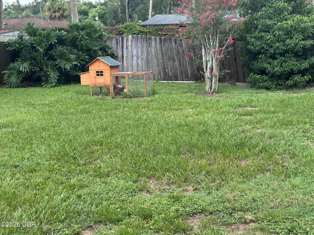 31109 DEAL DRIVE Mount Plymouth, FL 32776