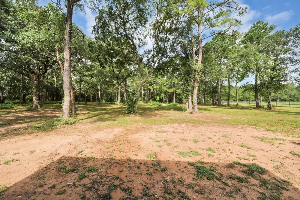 12964 Kowis Lane Plantersville, TX 77363