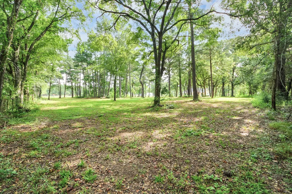 12964 Kowis Lane Plantersville, TX 77363