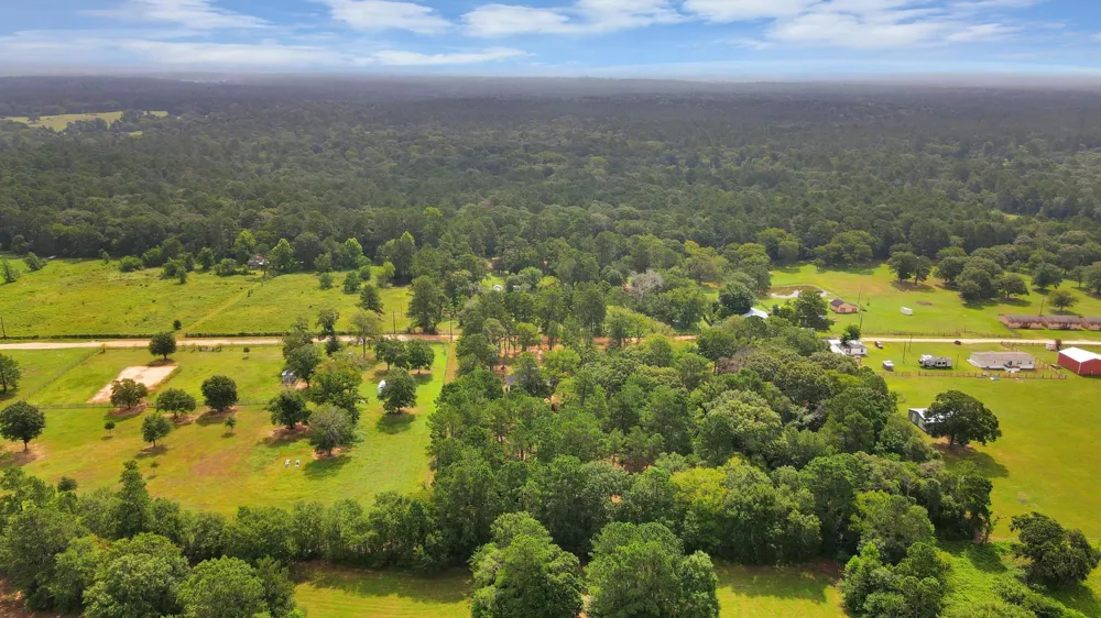12964 Kowis Lane Plantersville, TX 77363