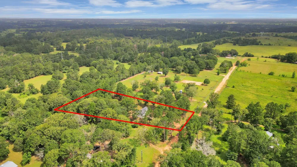 12964 Kowis Lane Plantersville, TX 77363
