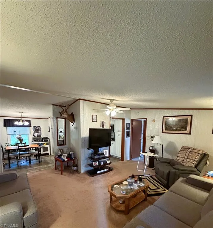 1094 Traphill Union Road Traphill, NC 28685