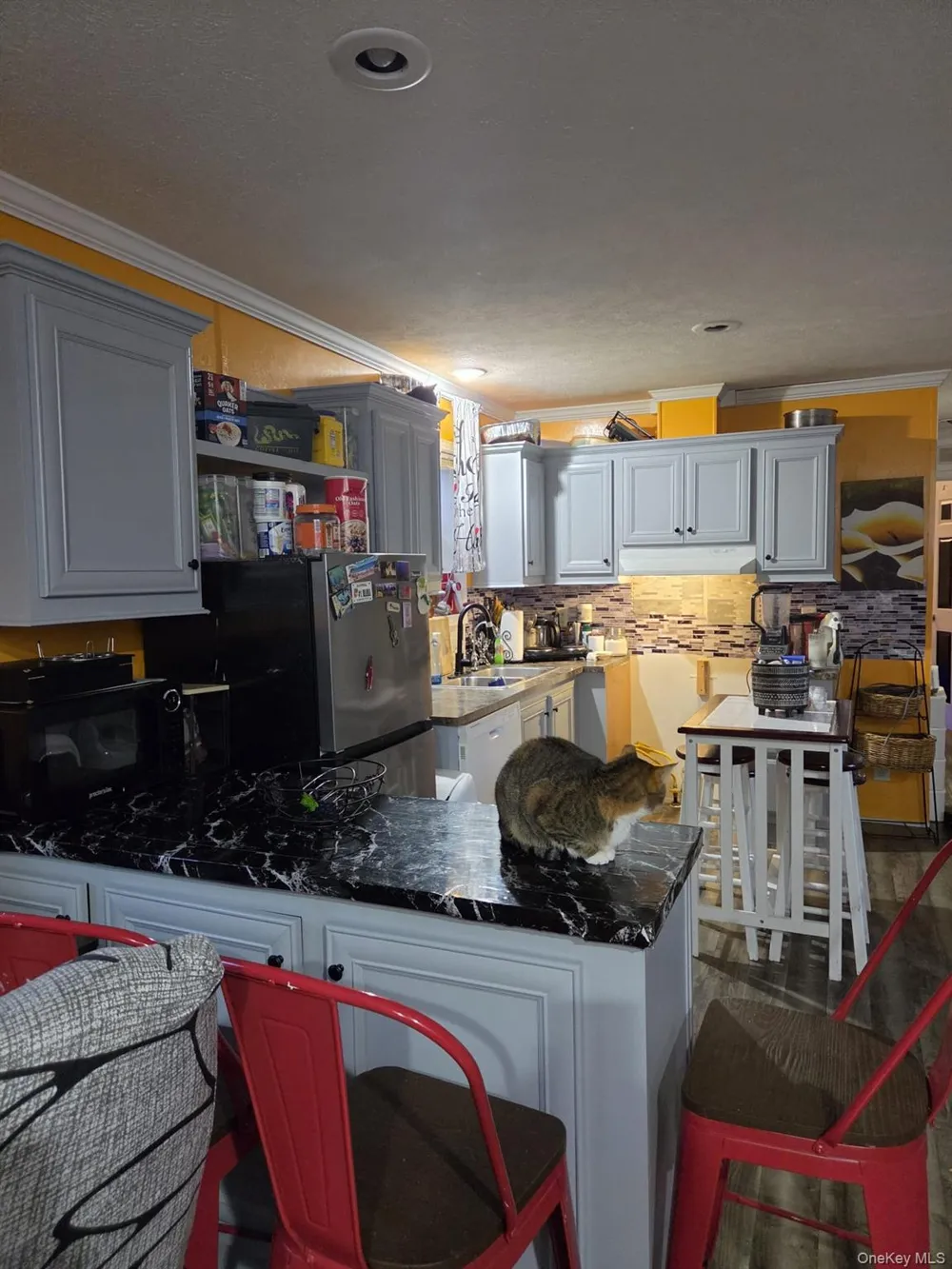 27 SHAGBARK Pleasant Valley, NY 12569