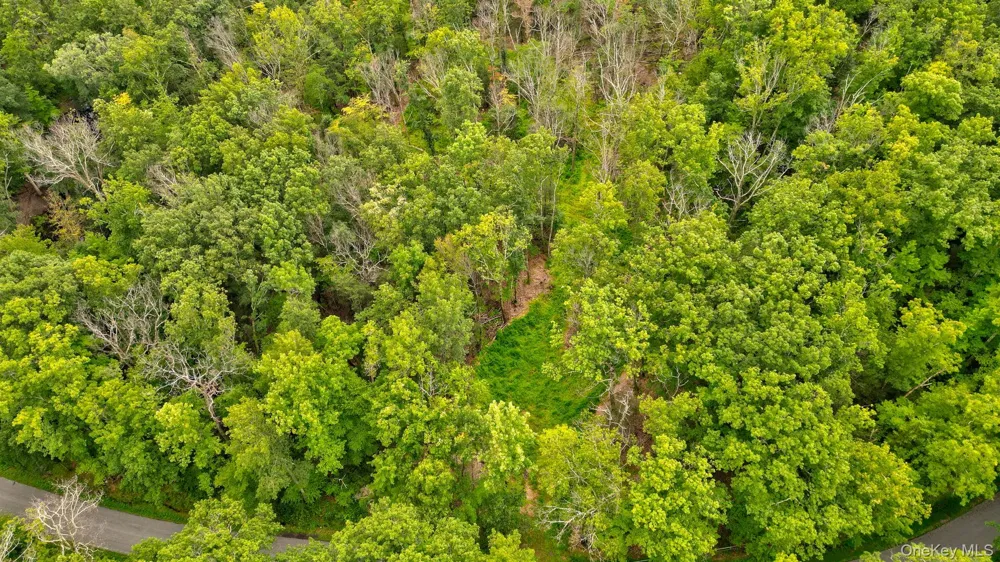 Lot 1 Pantelop Road Bloomingburg, NY 12790