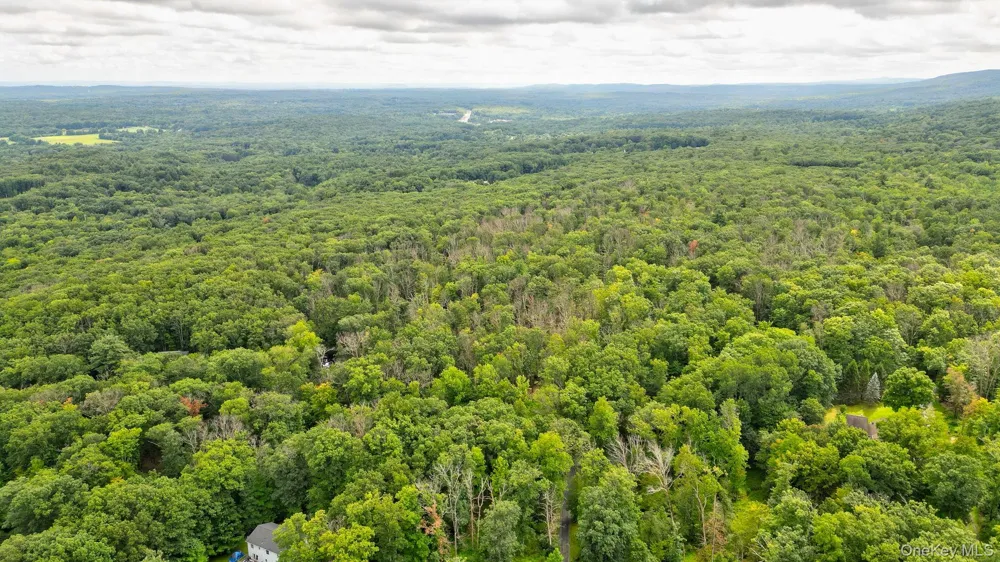 Lot 1 Pantelop Road Bloomingburg, NY 12790