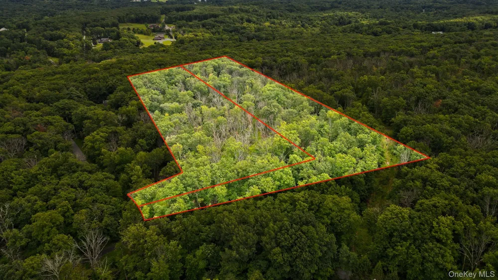 Lot 1 Pantelop Road Bloomingburg, NY 12790