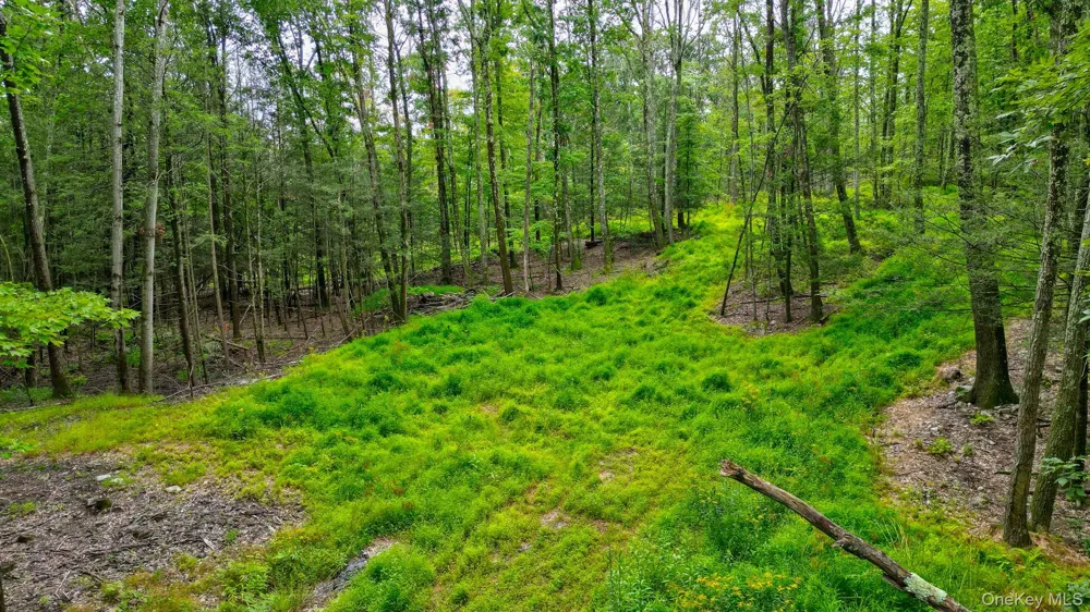 Lot 1 Pantelop Road Bloomingburg, NY 12790