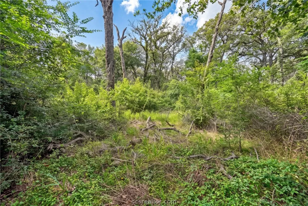 7 Country Club Drive Caldwell, TX 77836