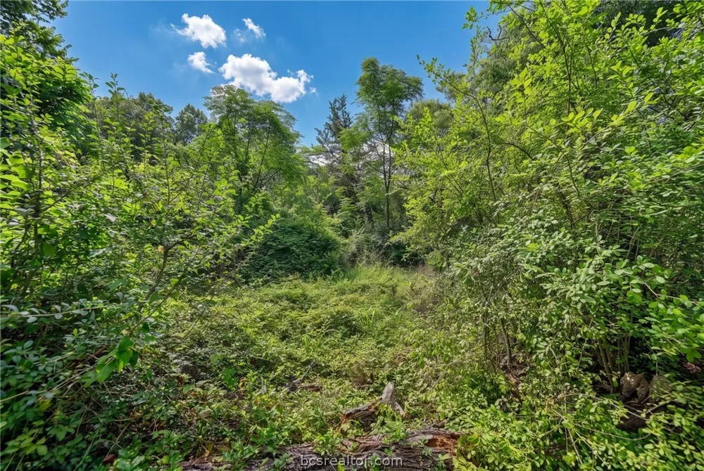 7 Country Club Drive Caldwell, TX 77836
