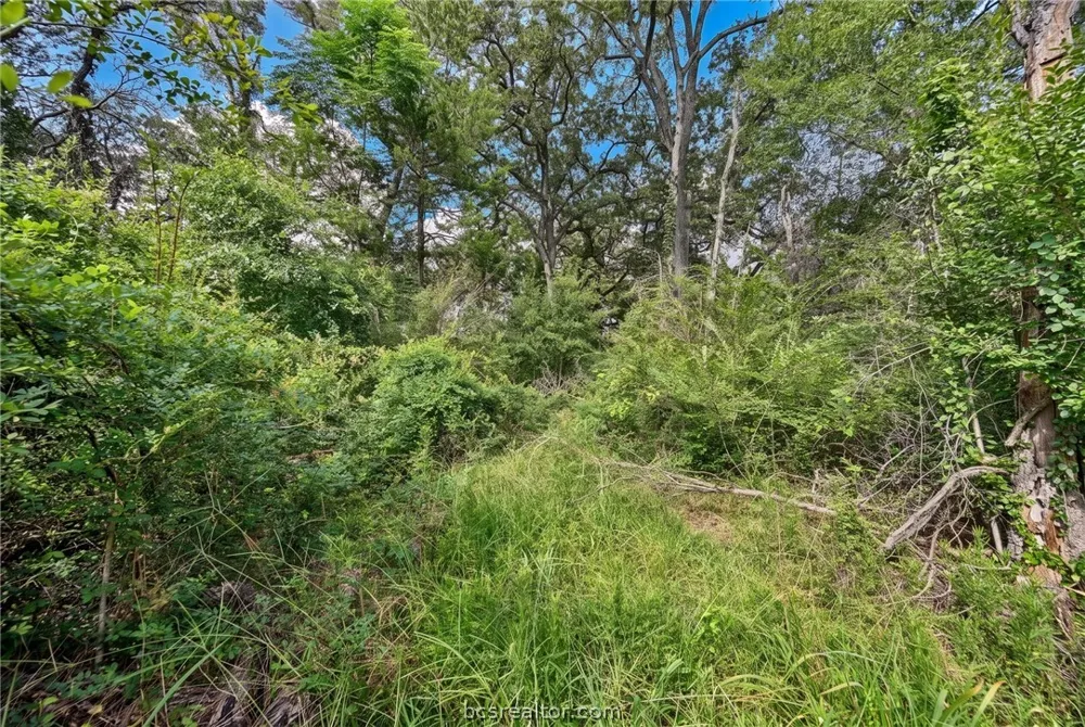 7 Country Club Drive Caldwell, TX 77836