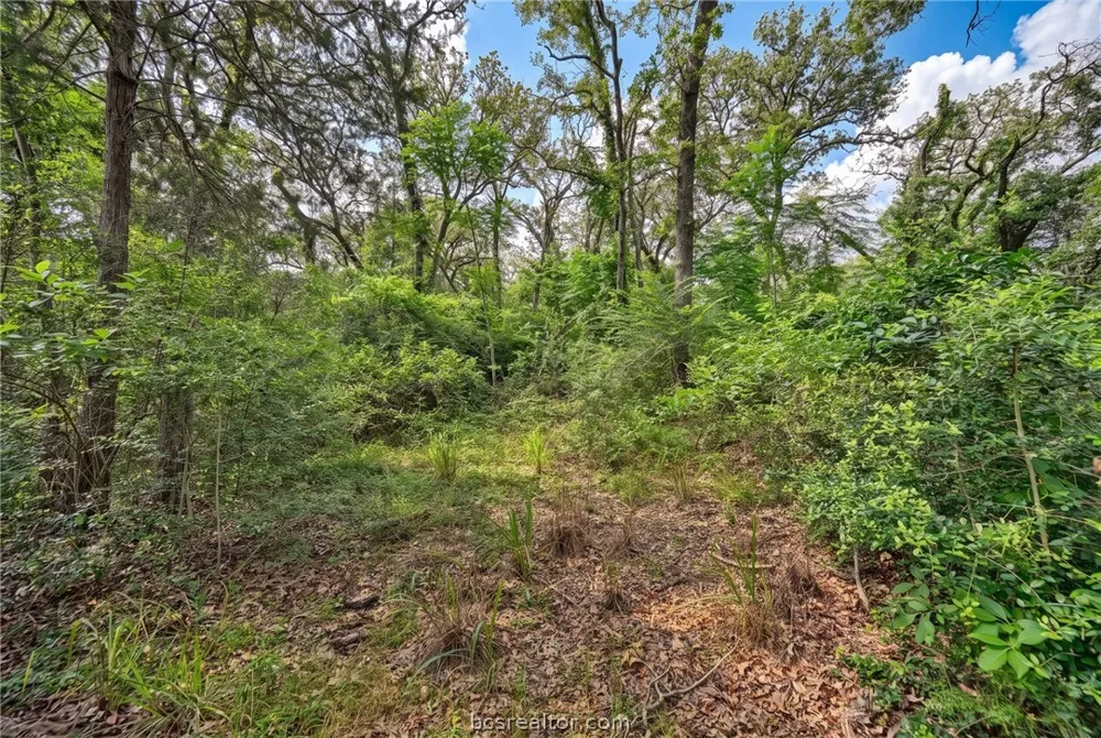 7 Country Club Drive Caldwell, TX 77836
