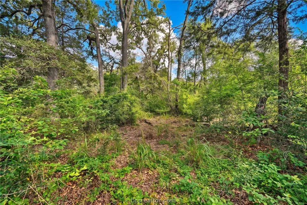 7 Country Club Drive Caldwell, TX 77836