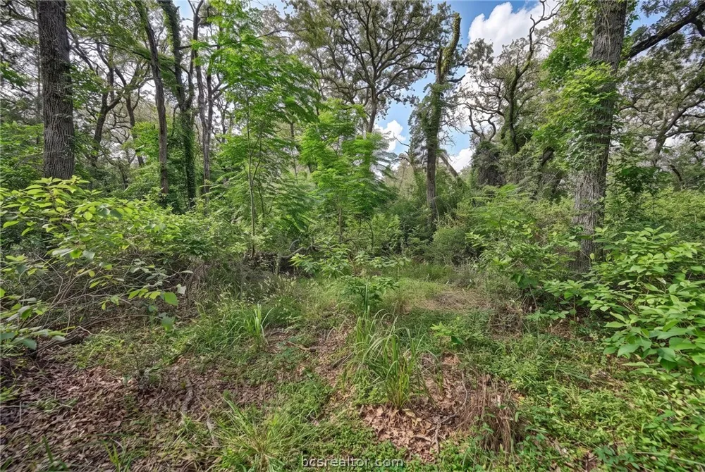 7 Country Club Drive Caldwell, TX 77836