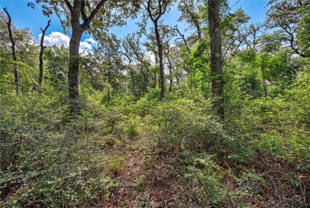 7 Country Club Drive Caldwell, TX 77836