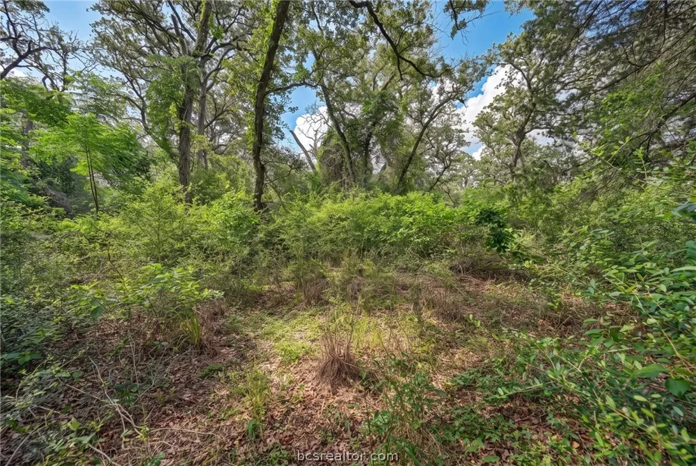 7 Country Club Drive Caldwell, TX 77836
