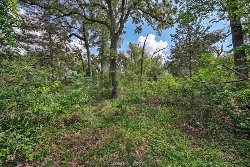 7 Country Club Drive Caldwell, TX 77836