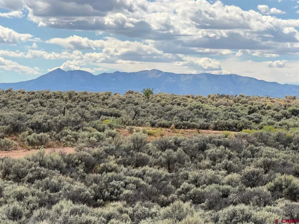 ROAD C Dove Creek, CO 81324