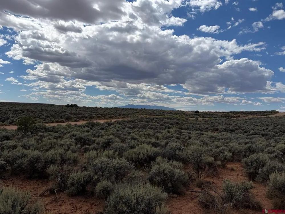 ROAD C Dove Creek, CO 81324