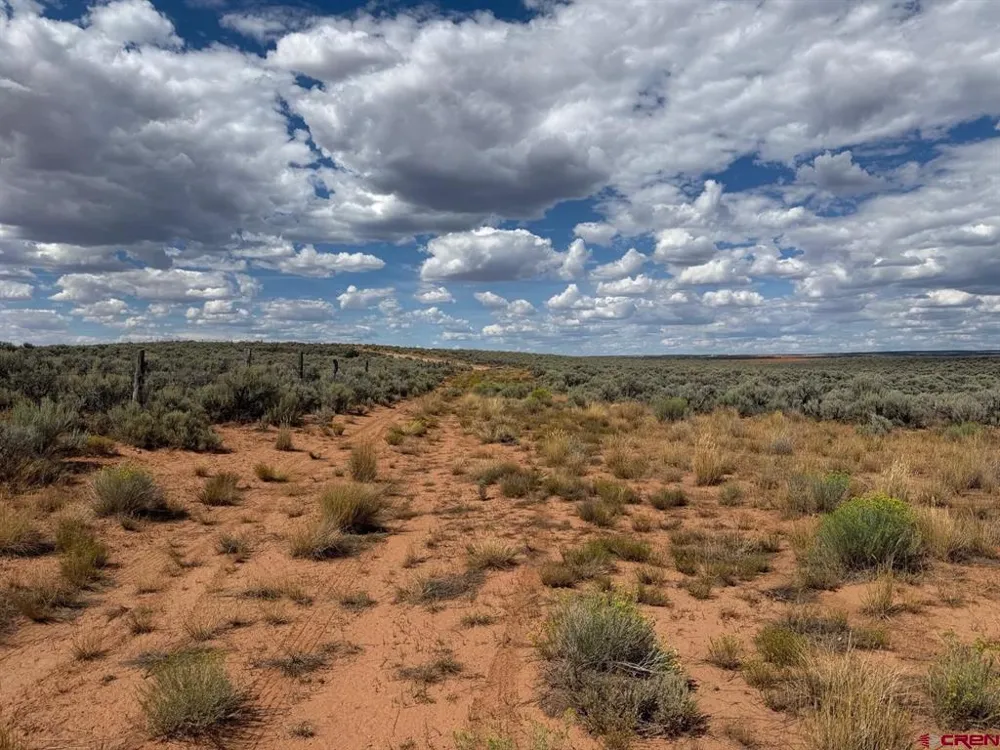 ROAD C Dove Creek, CO 81324