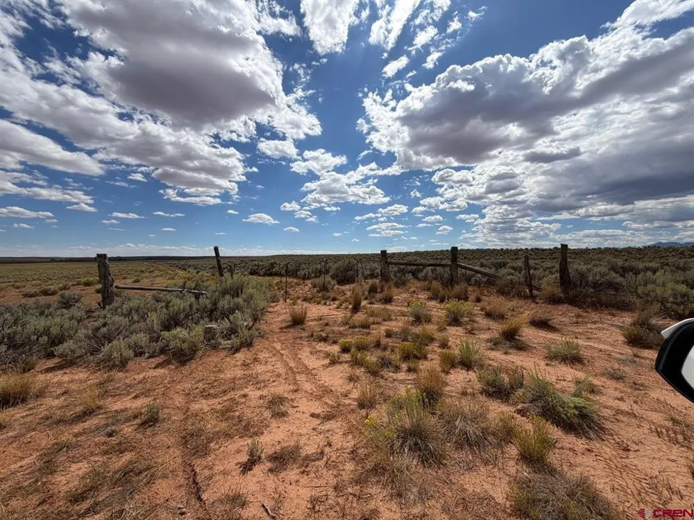 ROAD C Dove Creek, CO 81324