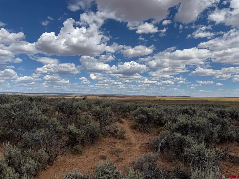 ROAD C Dove Creek, CO 81324