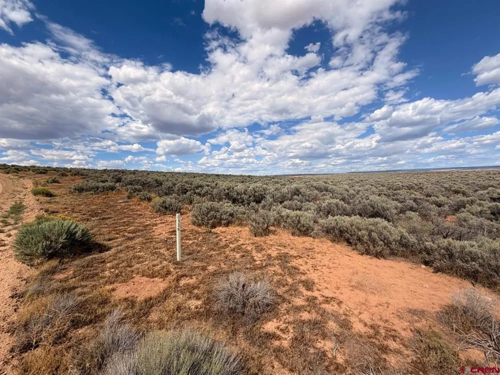 ROAD C Dove Creek, CO 81324