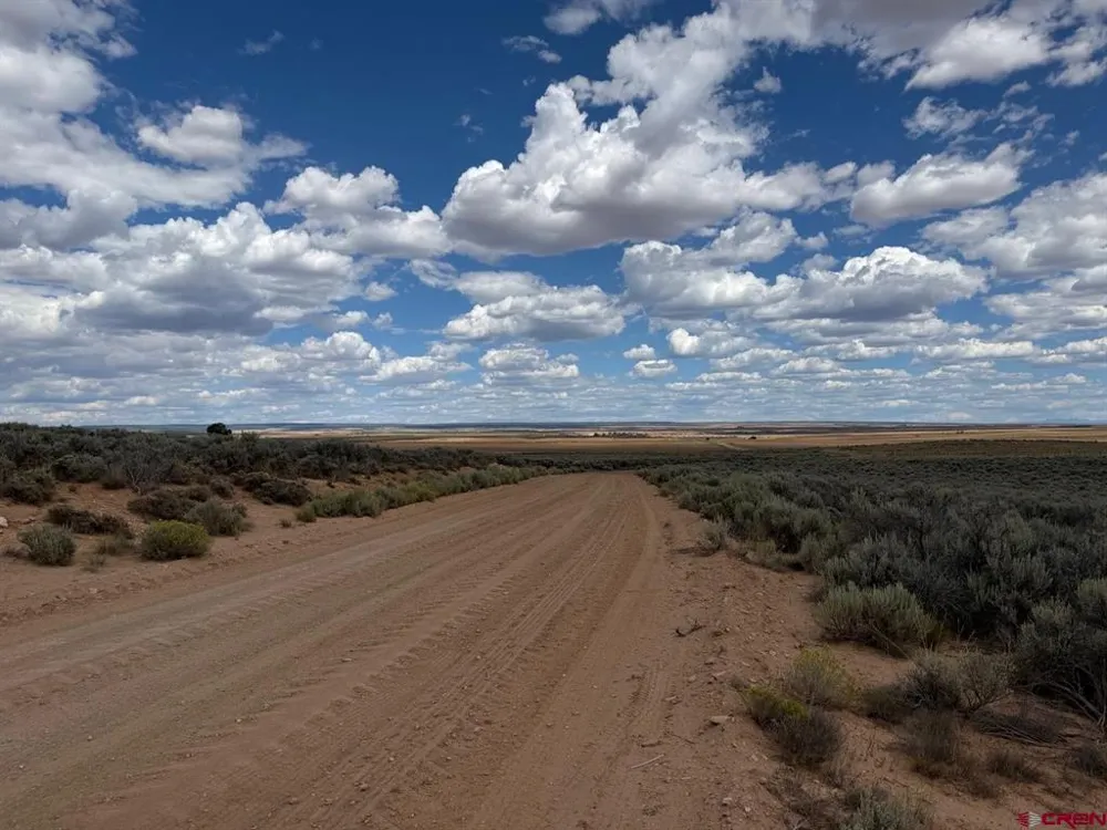 ROAD C Dove Creek, CO 81324