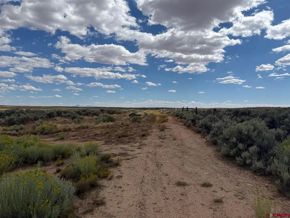 ROAD C Dove Creek, CO 81324