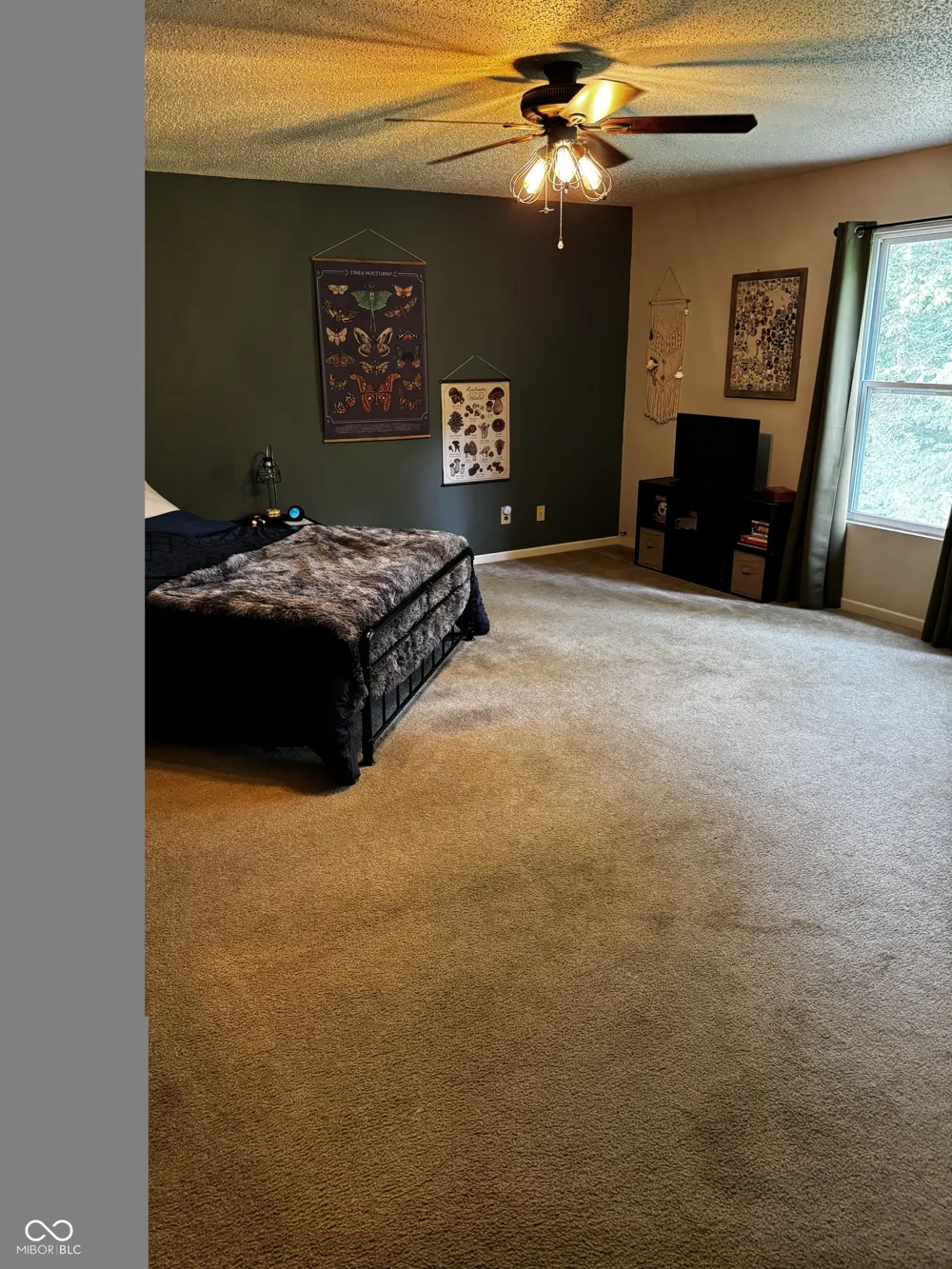 8446 Ligonier Drive Camby, IN 46113