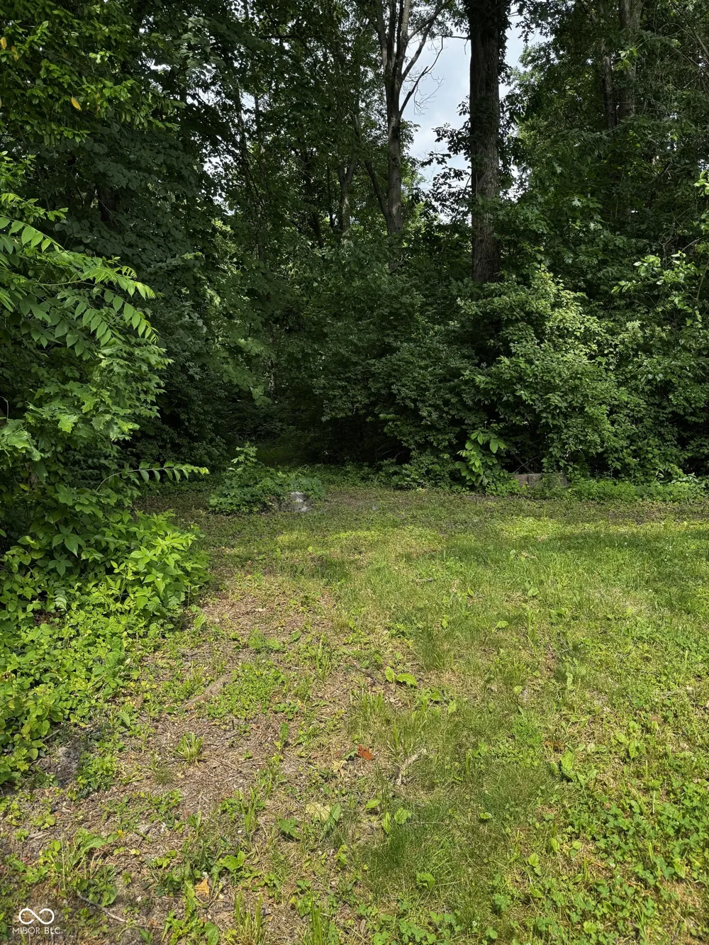 8446 Ligonier Drive Camby, IN 46113