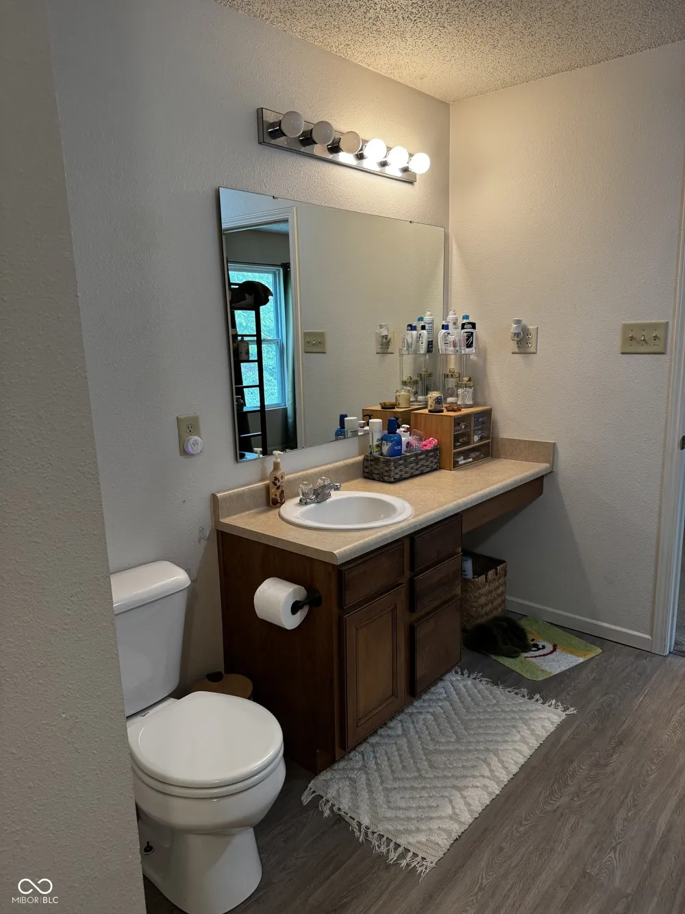 8446 Ligonier Drive Camby, IN 46113