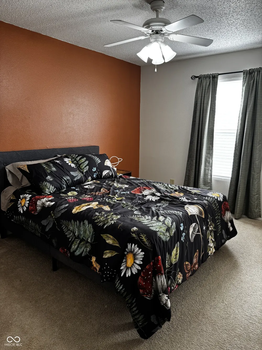 8446 Ligonier Drive Camby, IN 46113
