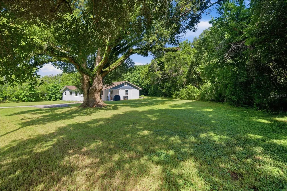 37047 OLD SAN ANN ROAD Dade City, FL 33525