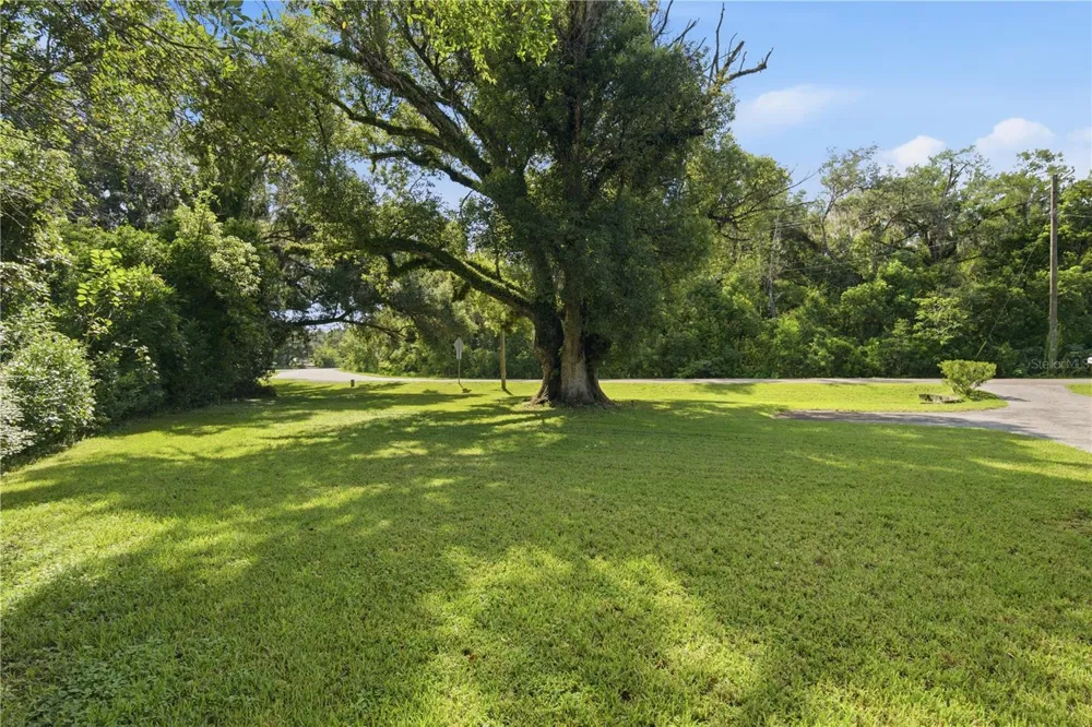 37047 OLD SAN ANN ROAD Dade City, FL 33525
