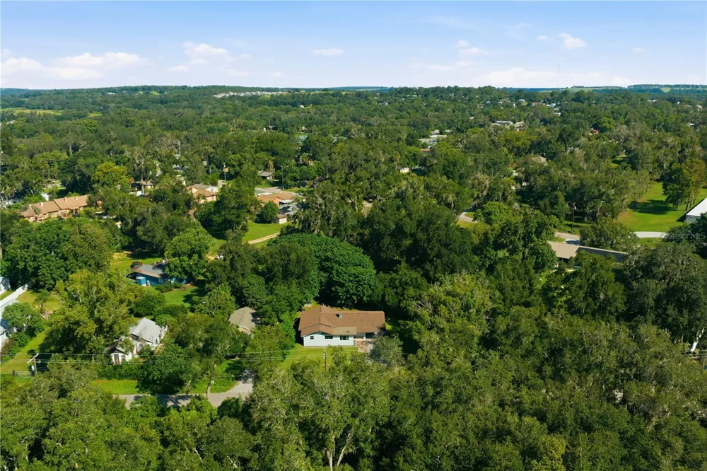 37047 OLD SAN ANN ROAD Dade City, FL 33525