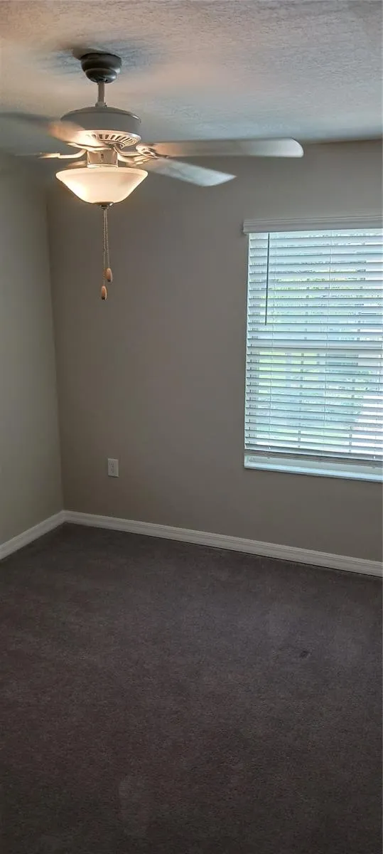 11905 CASTINE STREET New Port Richey, FL 34654