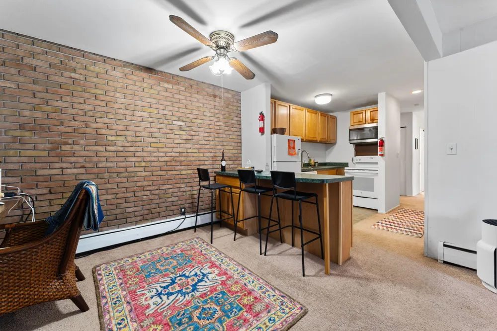 207 Ballard Street #106 Ypsilanti, MI 48197
