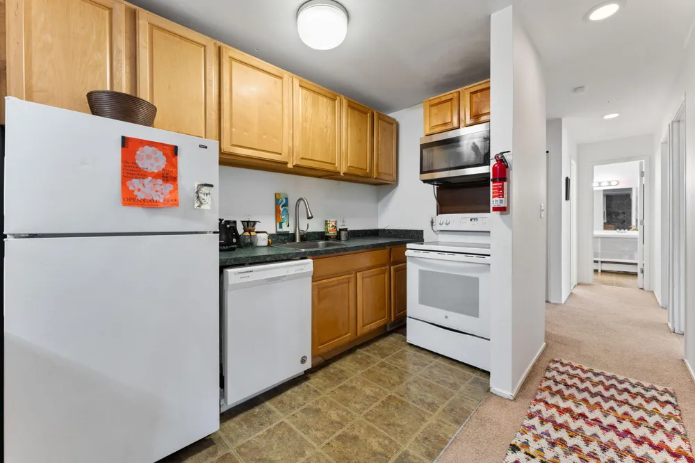 207 Ballard Street #106 Ypsilanti, MI 48197