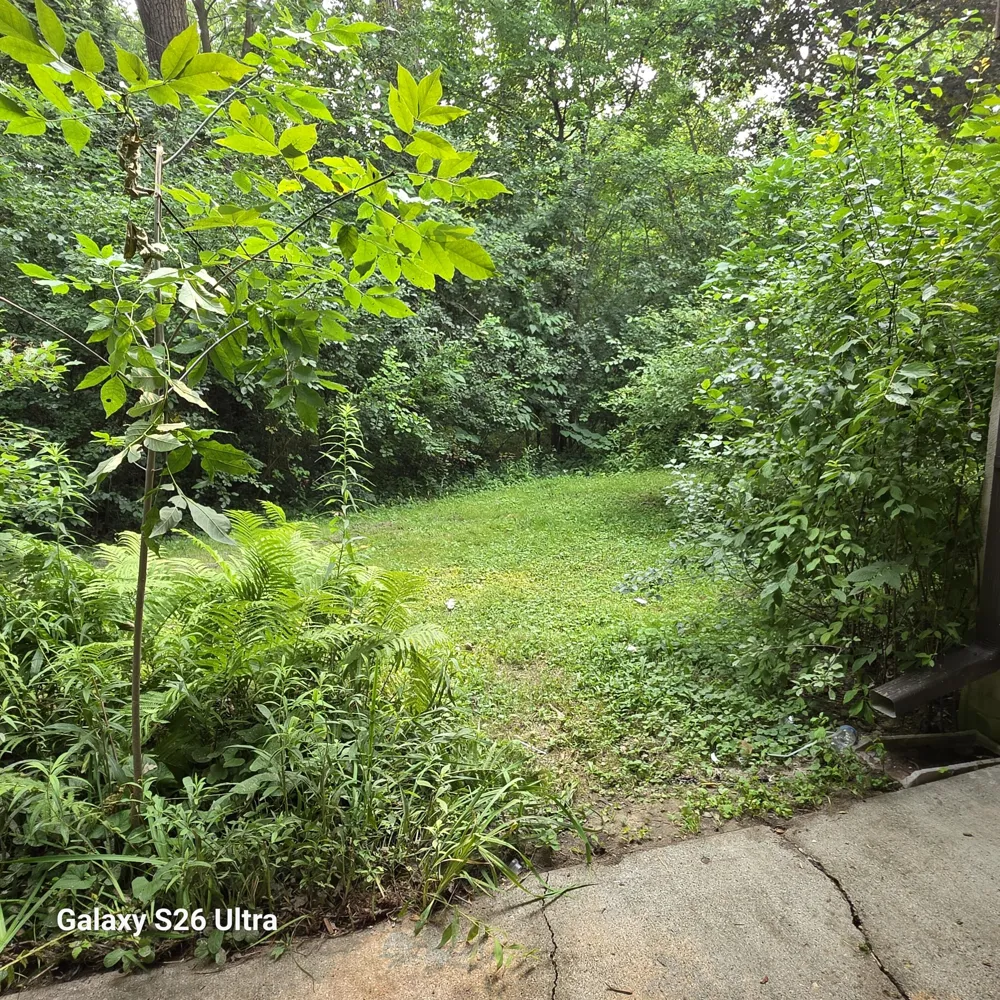 2145 Pauline Court Ann Arbor, MI 48103