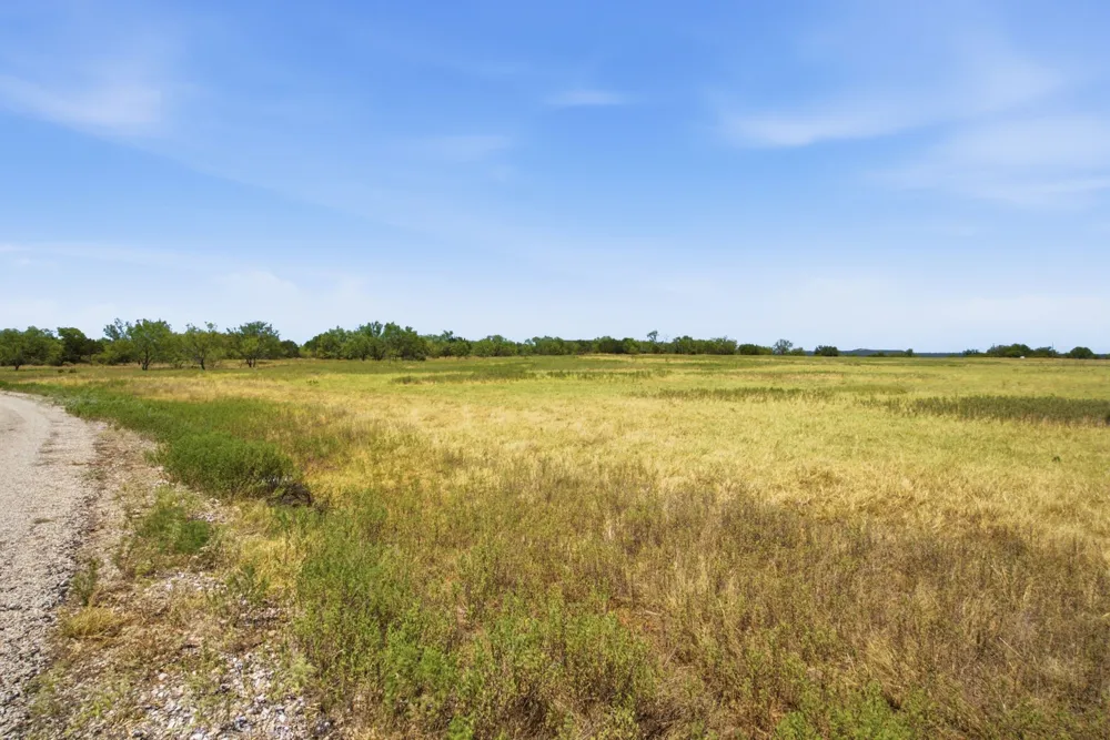 River Canyon Road Palo Pinto, TX 76484