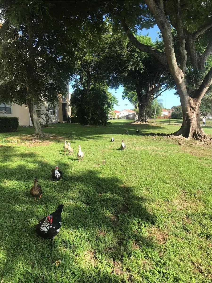 15295 SW 106th Ln #705 Miami, FL 33196