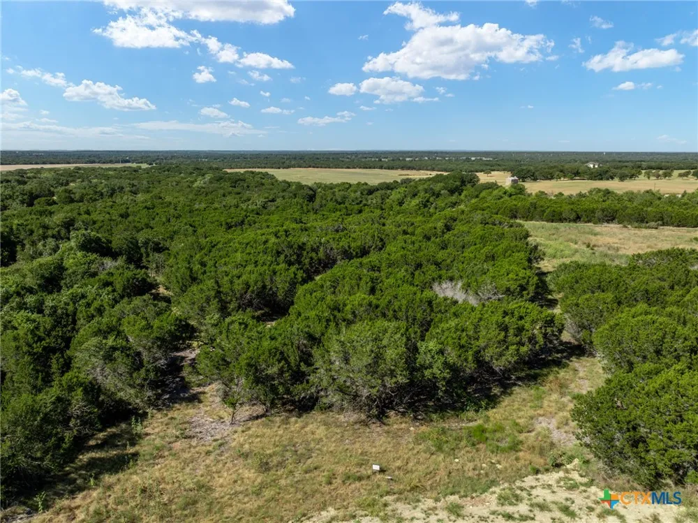 161 Dove Circle Jonesboro, TX 76538